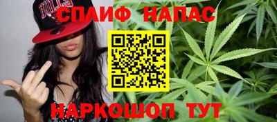 крисы Бийск