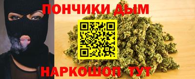 крисы Бийск
