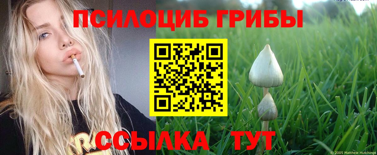 где найти наркотики  Псилоцибиновые грибы Cubensis  Вход с VPN  Волжский  Галлюциногенные грибы Magic Shrooms 